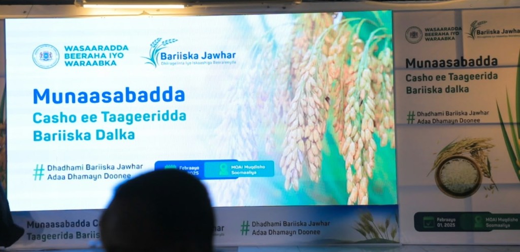 Supporting Local Rice: Bariiska Jawhar Dinner